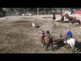Video II° Giornata dell' Equitazione Campolattaro 23/24-08-2008 di Francesco Basilone 